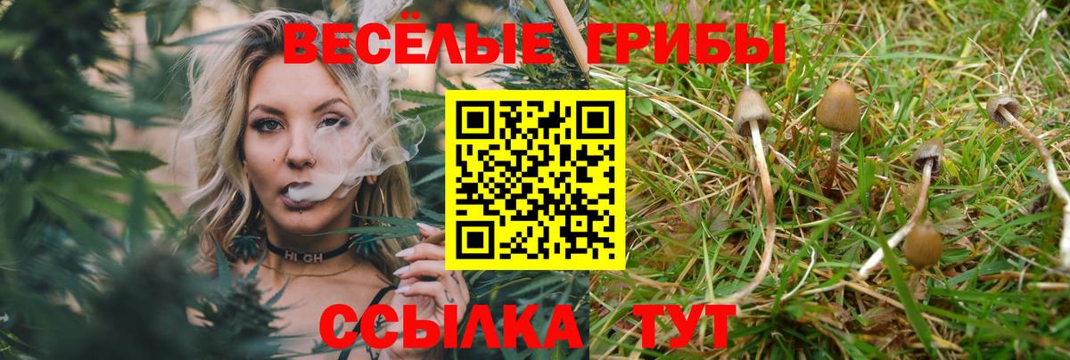 Псилоцибиновые грибы мицелий  где найти   Большой Камень  Псилоцибиновые грибы Cubensis  Вход с VPN 